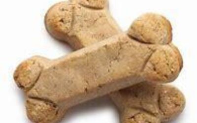 Homemade Peanutbutter Dog Treats