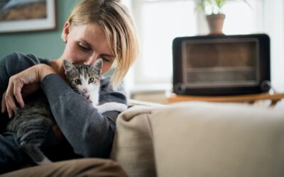 5 Practical Tips to Help Your Pet Cope With Anxiety